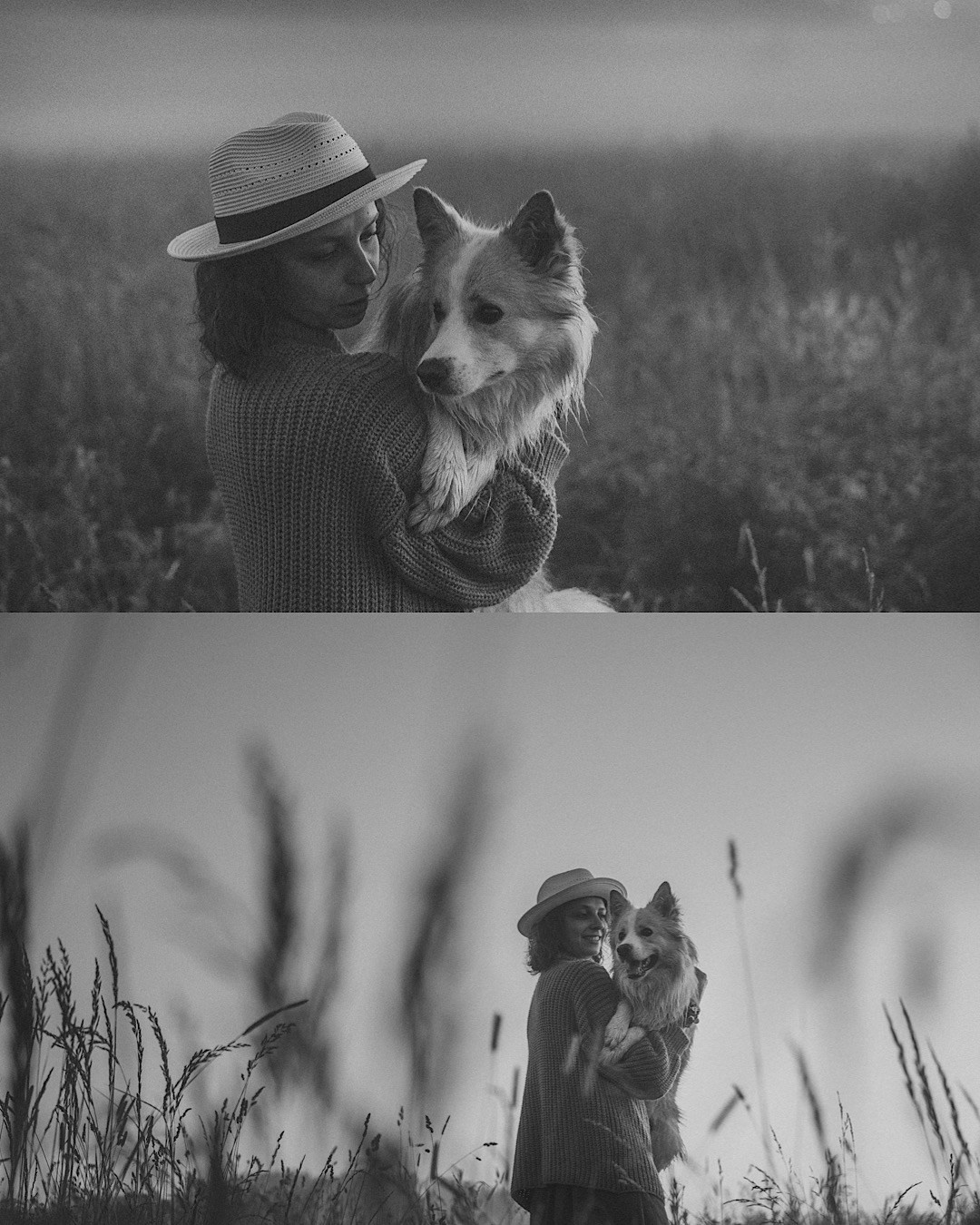Рина и Марси. Фотограф анималист в Москве и Санкт-Петербурге Свиридова Анна
