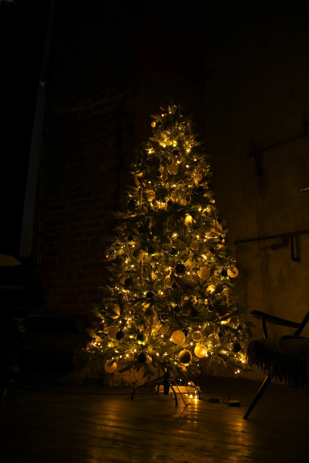 Елка. Фотограф Алексей Зозин в Москве