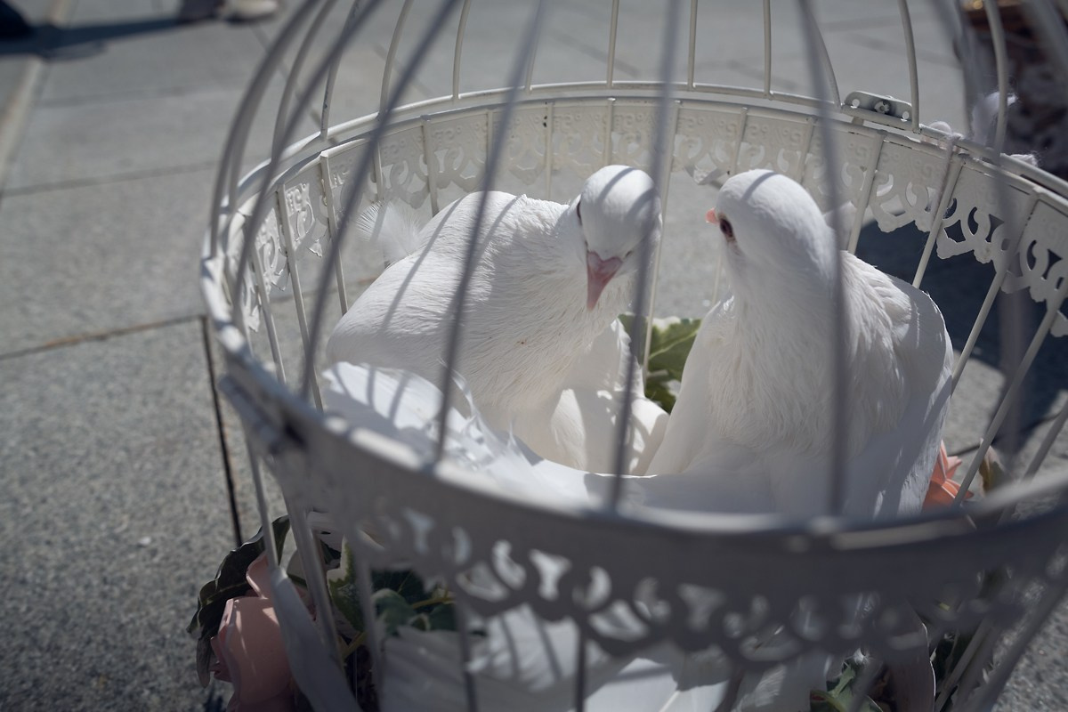 Венчание в главном Храме. Свадебный и репортажный фотограф в Москве и Московской области