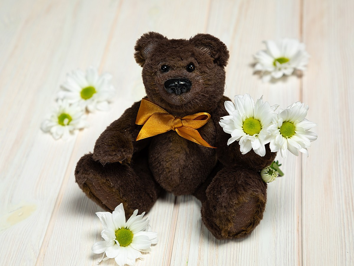 Профессиональная предметная фотосъемка игрушек в Москве и Московской области. Фотостудия в Москве LUXARTPHOTO