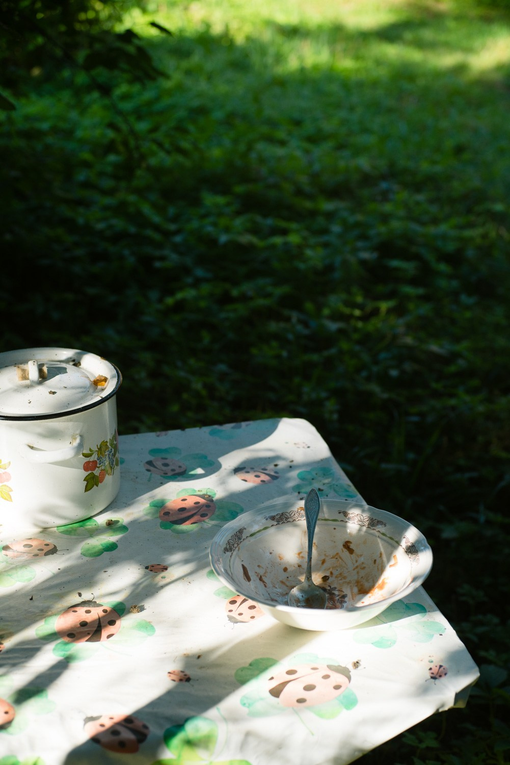 Summer Recurrences. Пётр Антонов