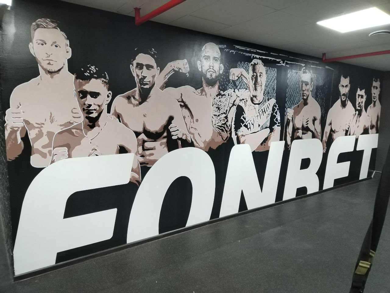 Художественная роспись интерьров. Художественная роспись стен и фасадов в Минске и Беларуси