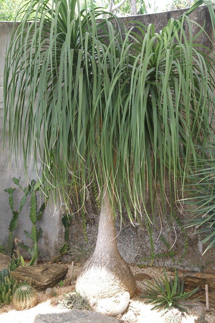 Тайланд 2014 г. Улица, люди, жизнь…