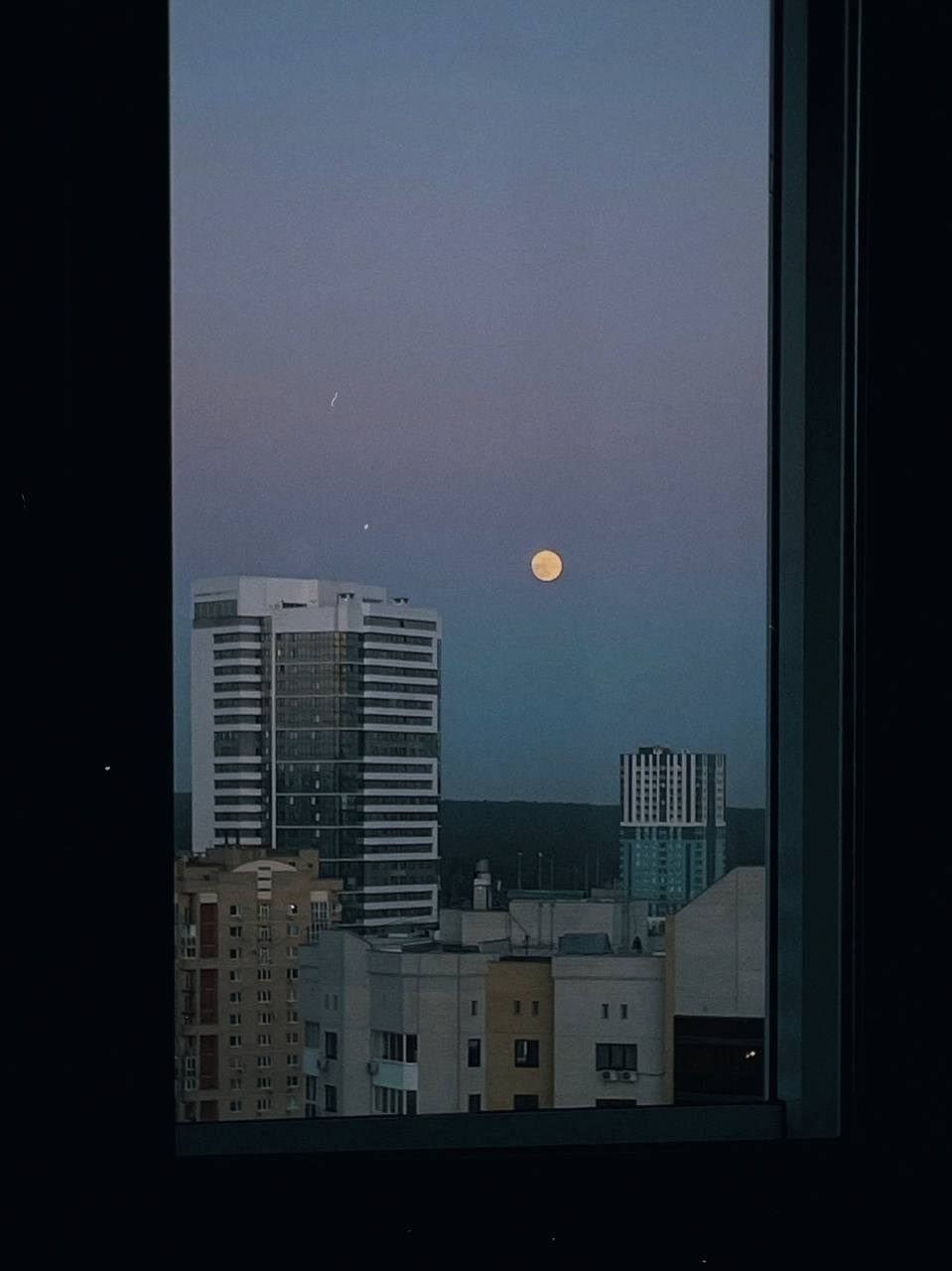 Мы дома ❤️‍🩹. Портретный фотограф | Олеся Комарова | Екатеринбург