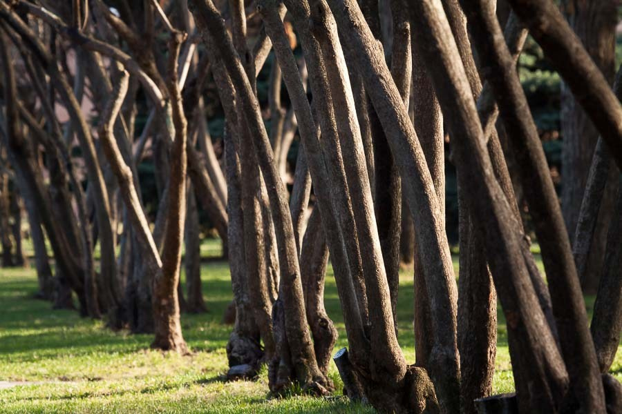 Street art. Фотостудия Алматы. Фотосъемка Алматы. Фотосессия Алматы. Фотокурсы. Обучение фотографии. Аренда студии