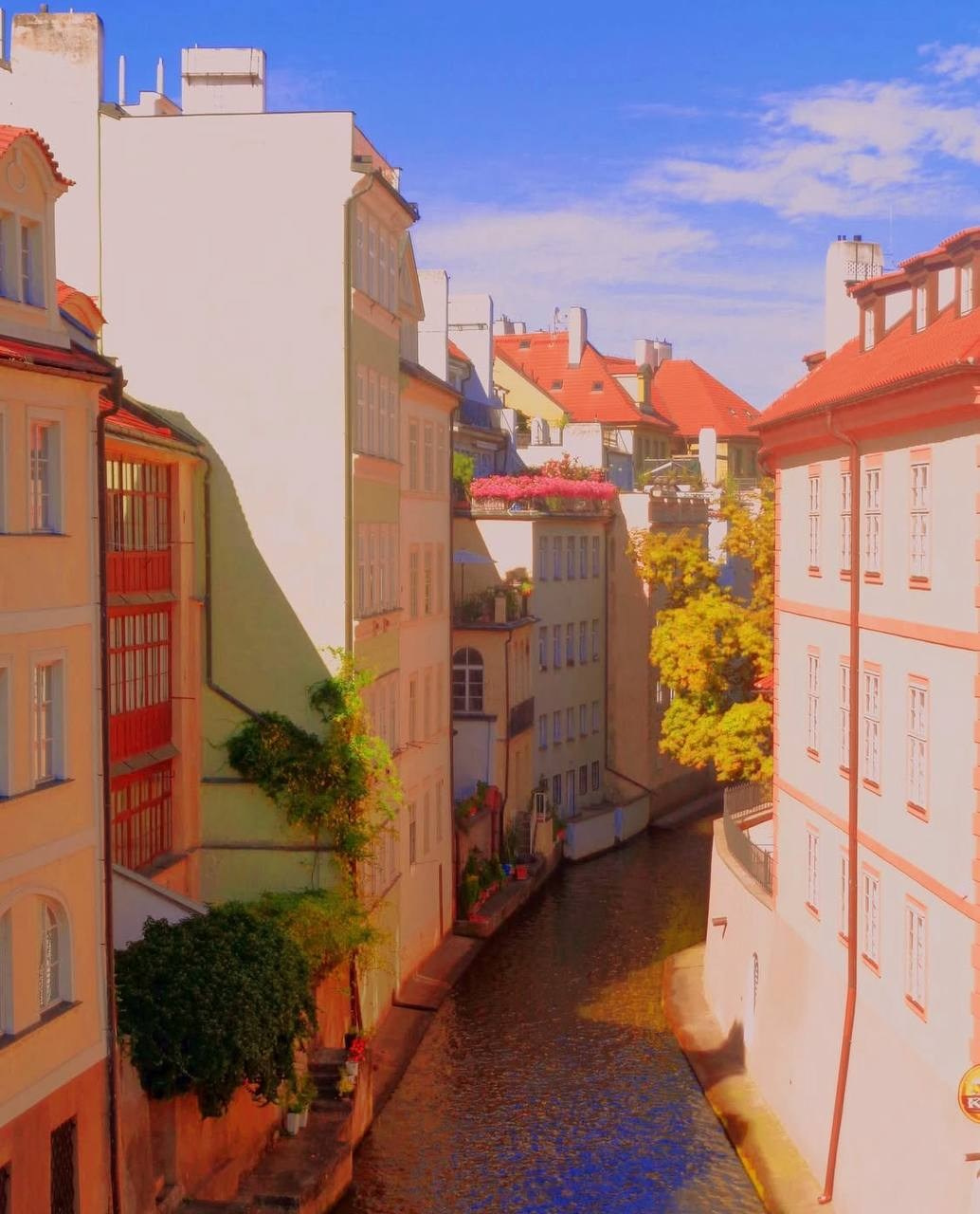 Видение. Костюмер, художник кино и телевидения в спб