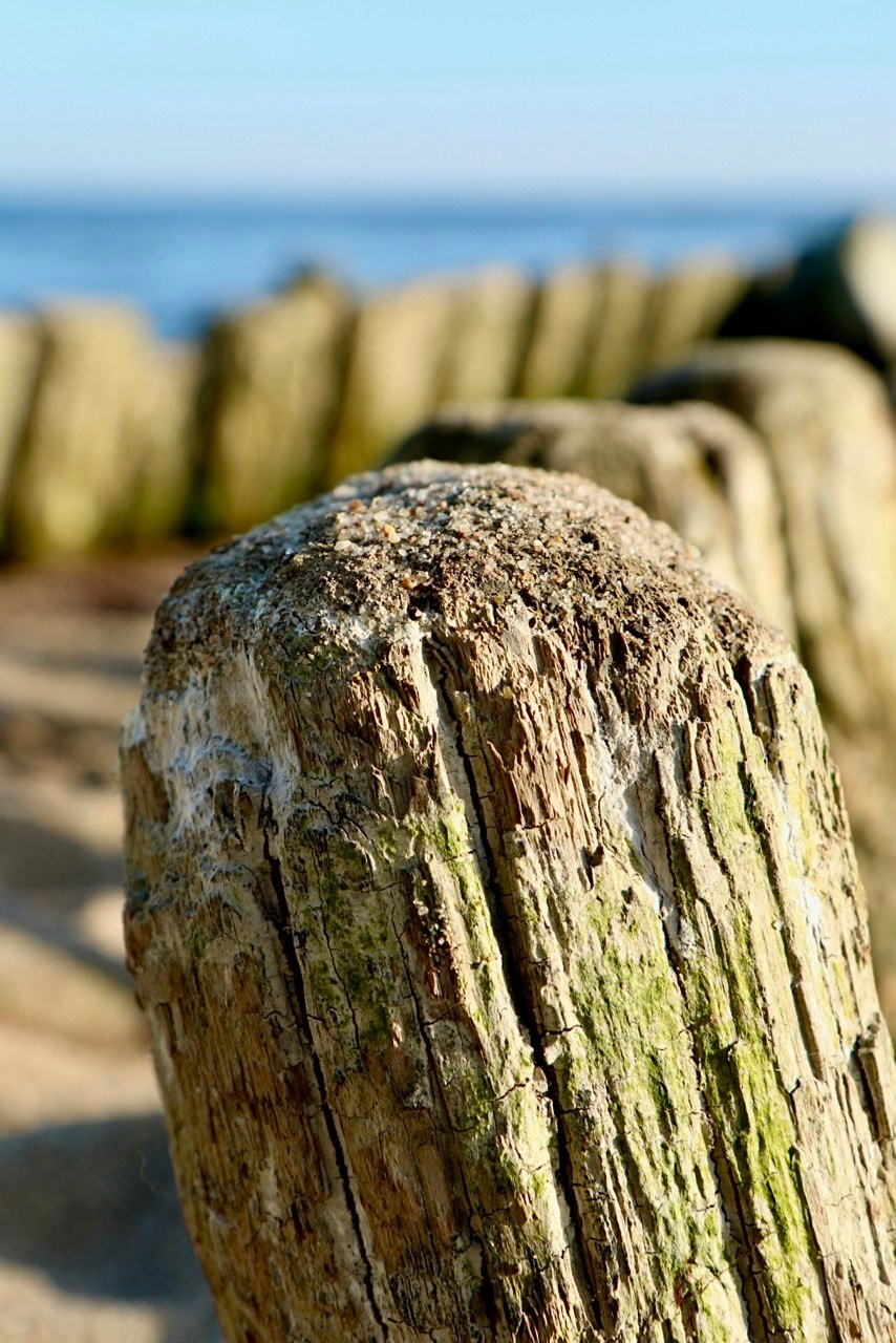 Макро. Фотографирую мир