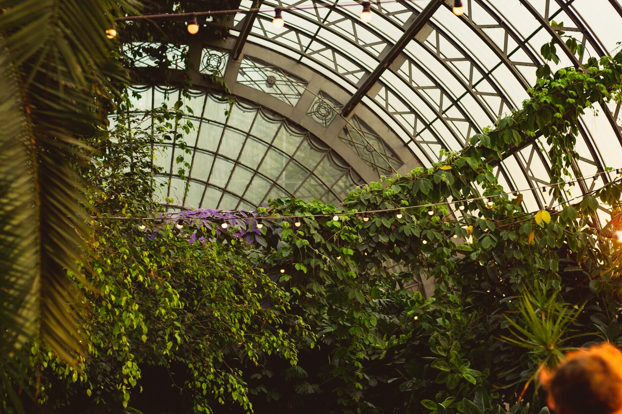 Petro Art — квартет в Таврическом саду (Рок Хиты). EvgenyCraft