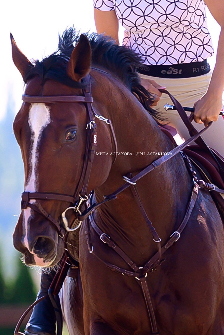 ДАРЬЯ И РЮРИК. Мила Астахова