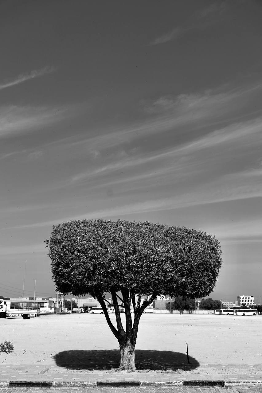 Эль-Джубайль. СА. 2025. Фотограф Михаил Олейник