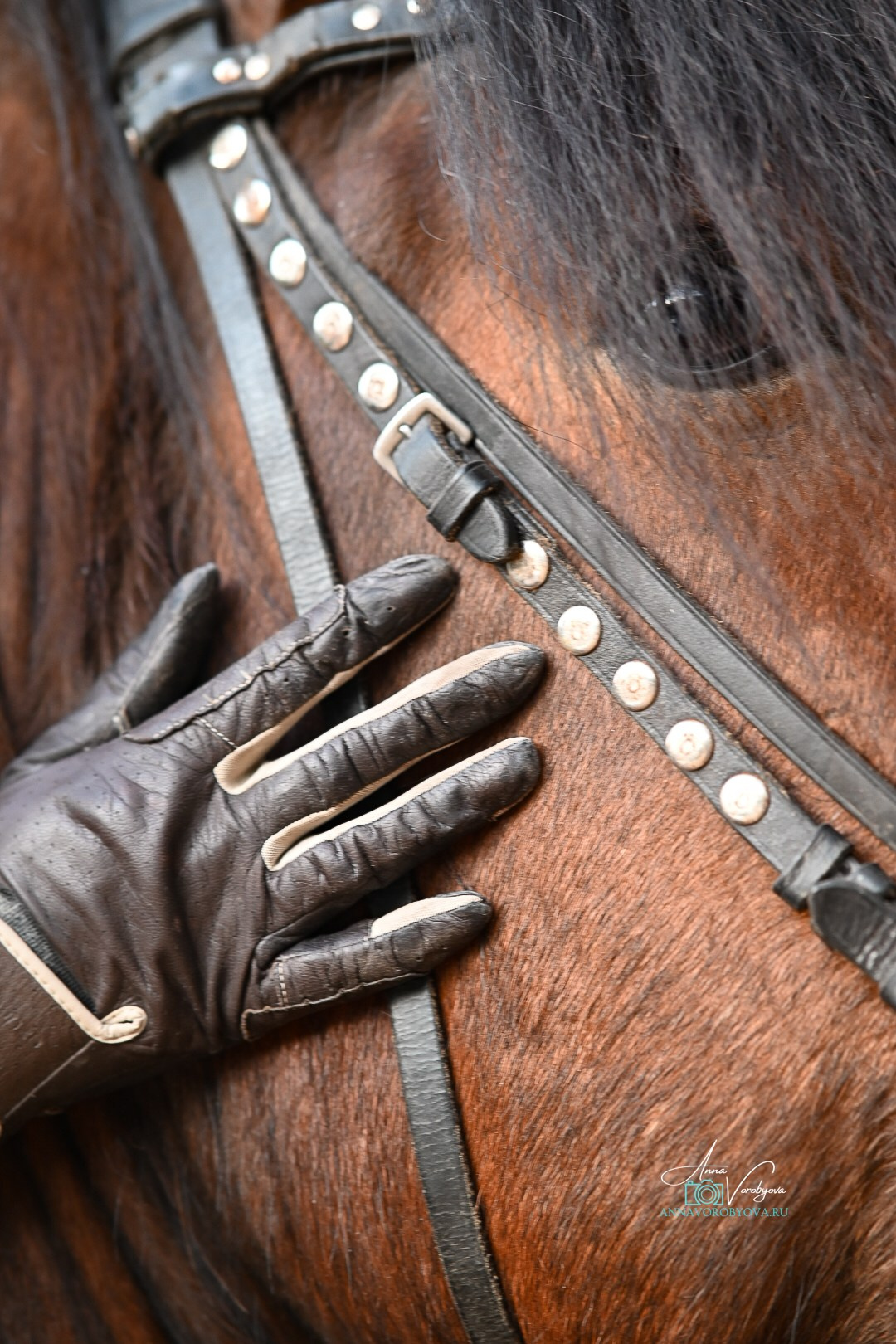 Оля и Ламбат. LifeStyle фотограф Анна Воробьёва Санкт-Петербург