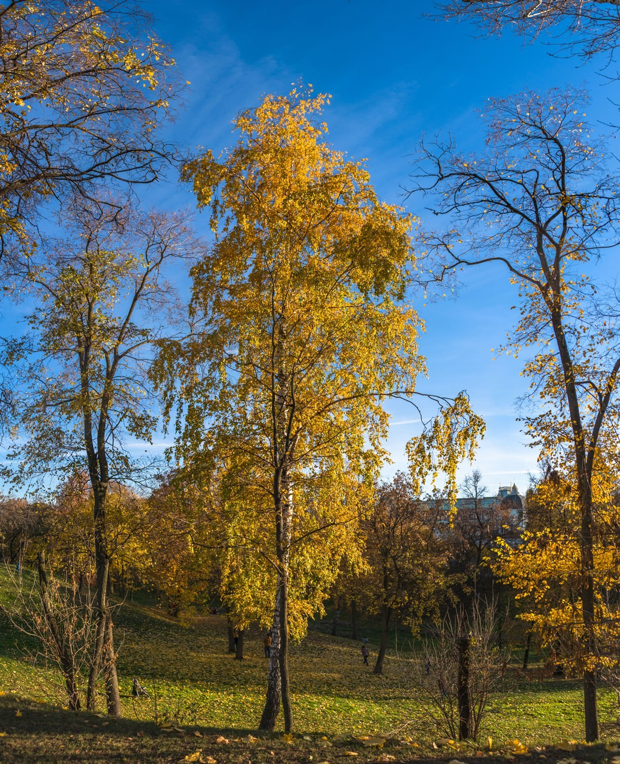Москва. Фотограф Лара Кучина