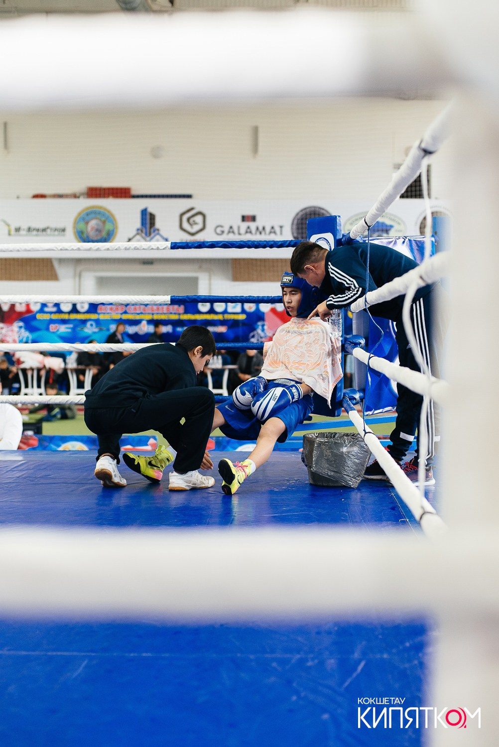Турнир по боксу. КИПЯТКОМ КОКШЕТАУ
