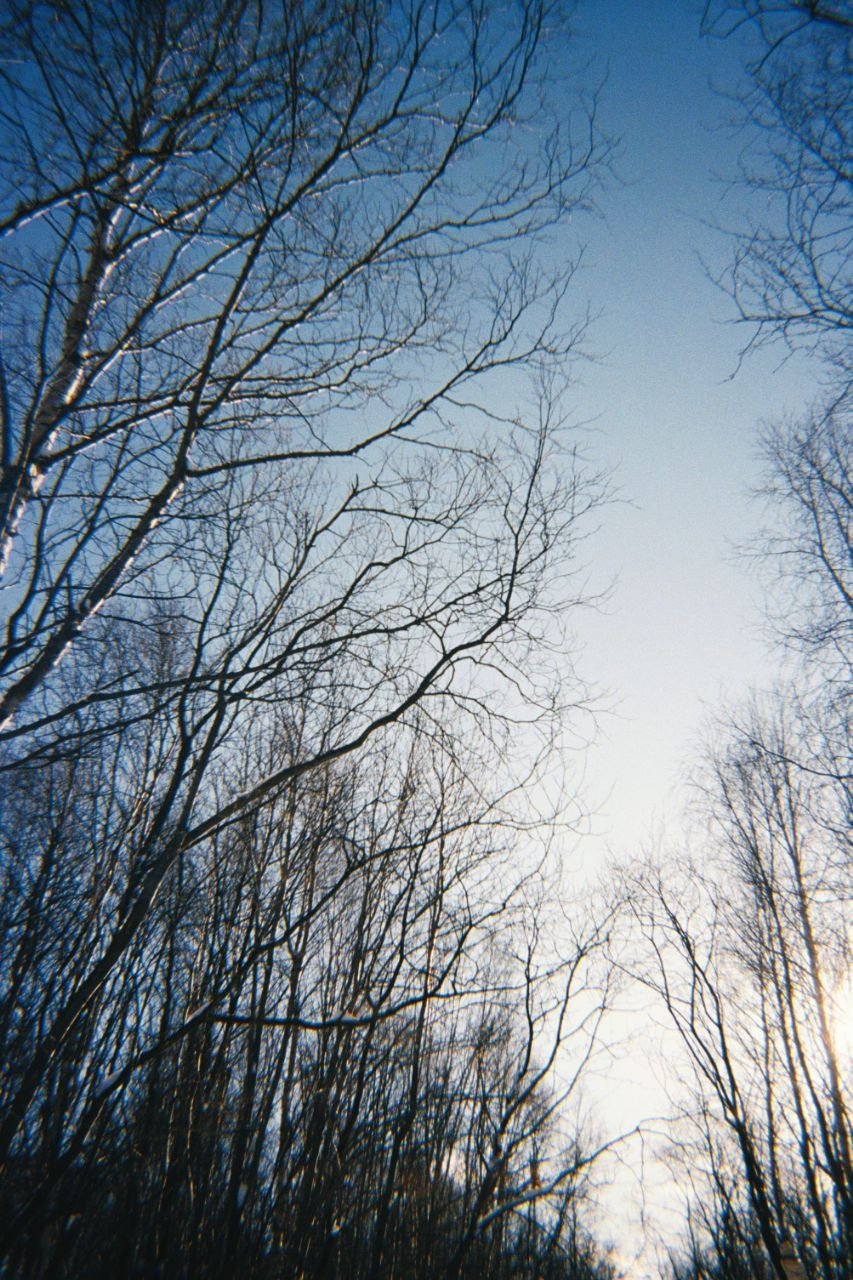 Пленочные кадры. Фотограф Алиса Аспер