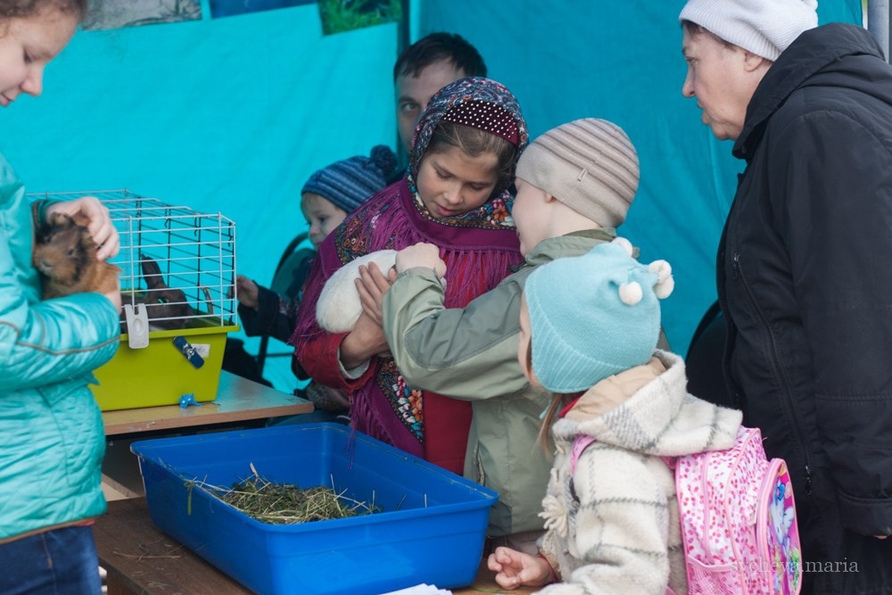 Ярмарка талантов. Детский и семейный фотограф, фотограф мероприятий Нижний Новгород