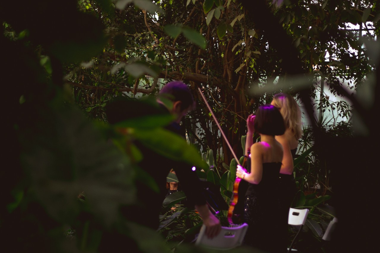 Petro Art — квартет в Таврическом саду (Рок Хиты). EvgenyCraft