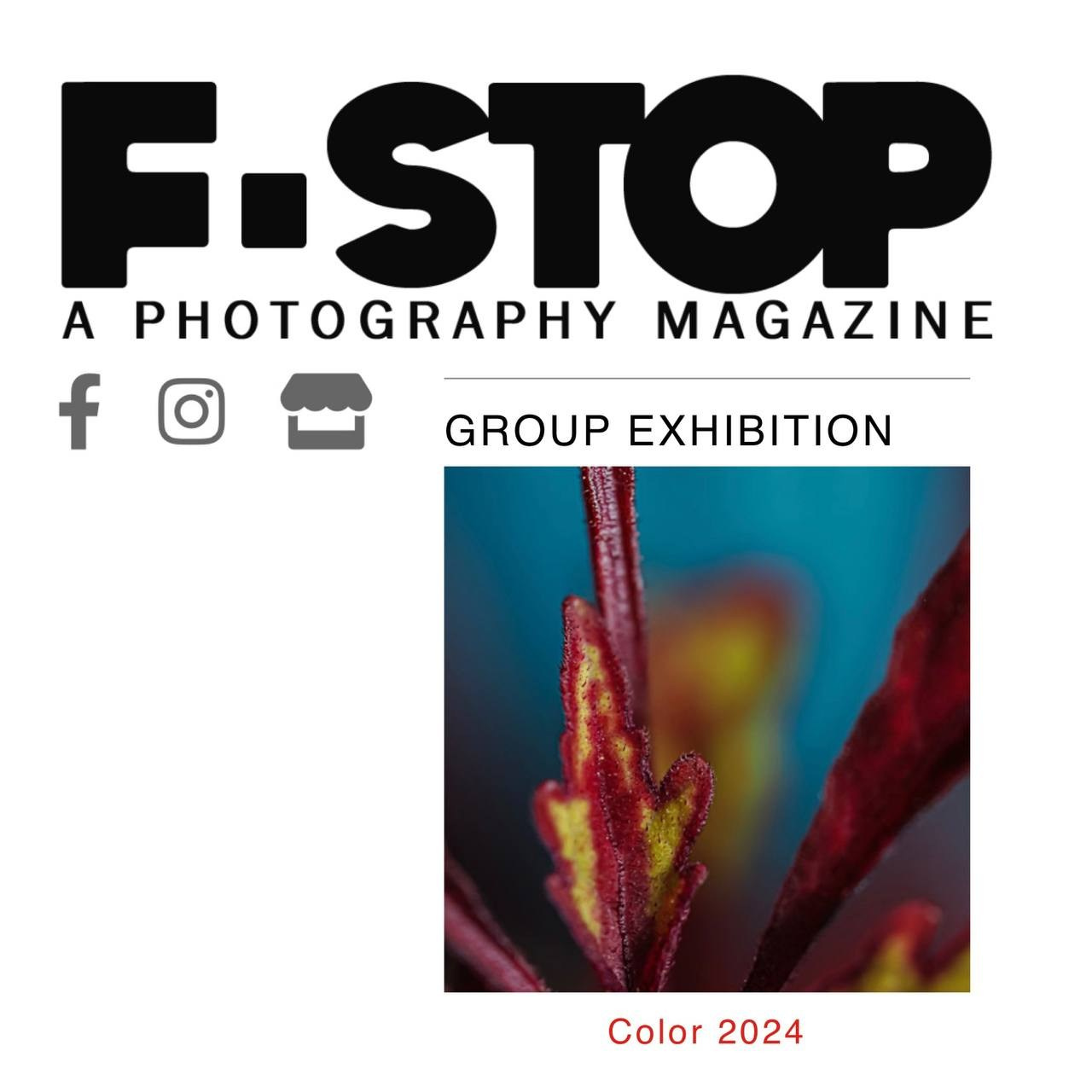 F-Stop. Елена Никитина. Фотохудожник. Пленочная фотография. Принты