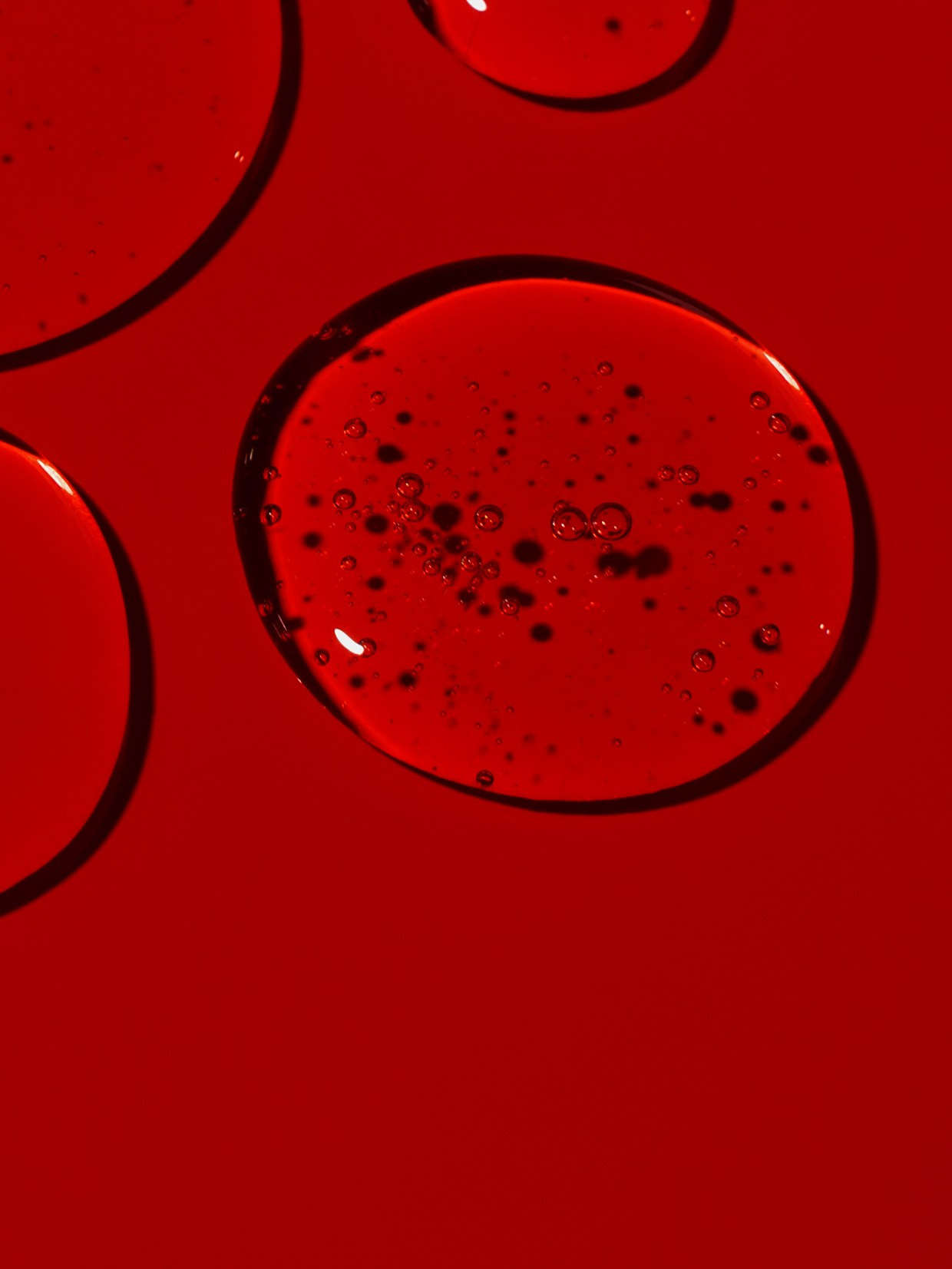 MORE AMORE. Асель Рембекова