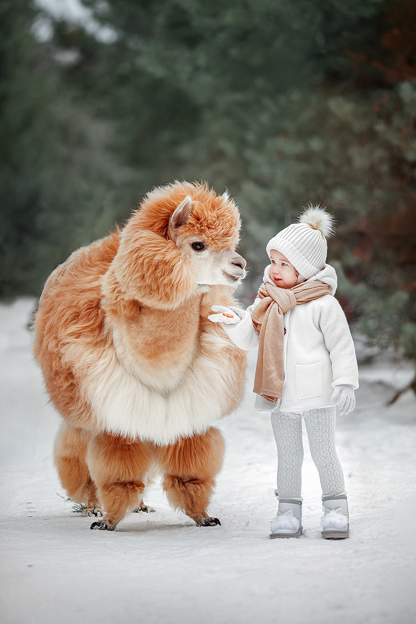 Зимние съемки. Детский и семейный фотограф Александра Грекова