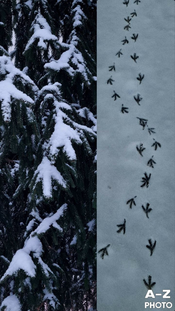 #ФОТОНЕДЕЛИ 15.02.2026. Женский семейный фотограф Тула Москва Захарова Анна