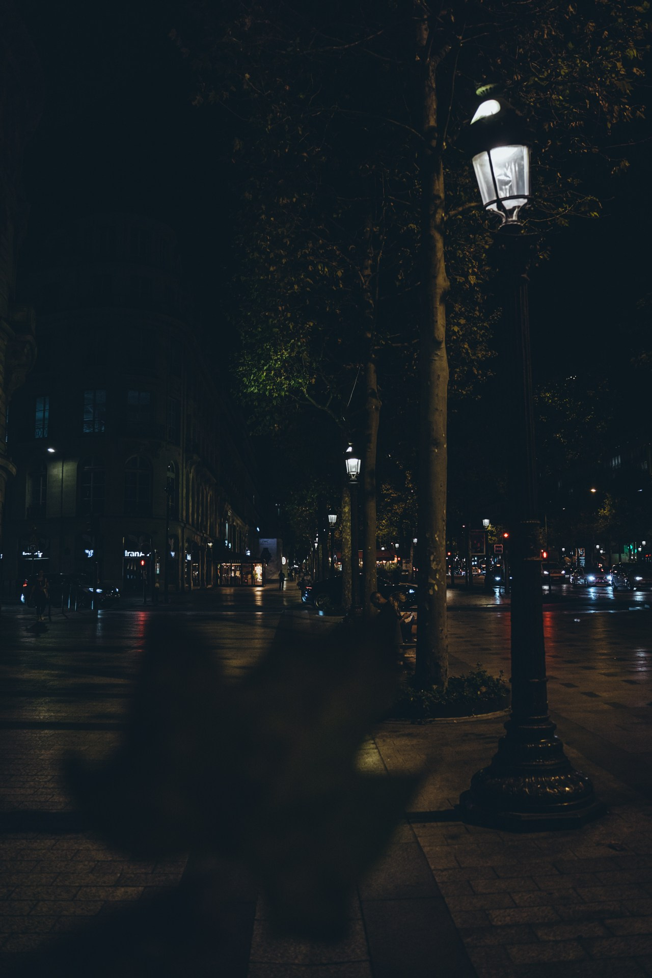 Антонина Пехова | Париж