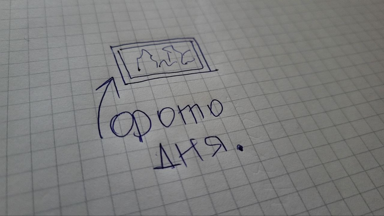 Проект «366»|2024|Фото каждый день. LENA GRACE photographer ||ЛЕНА ГРЭЙС фотограф