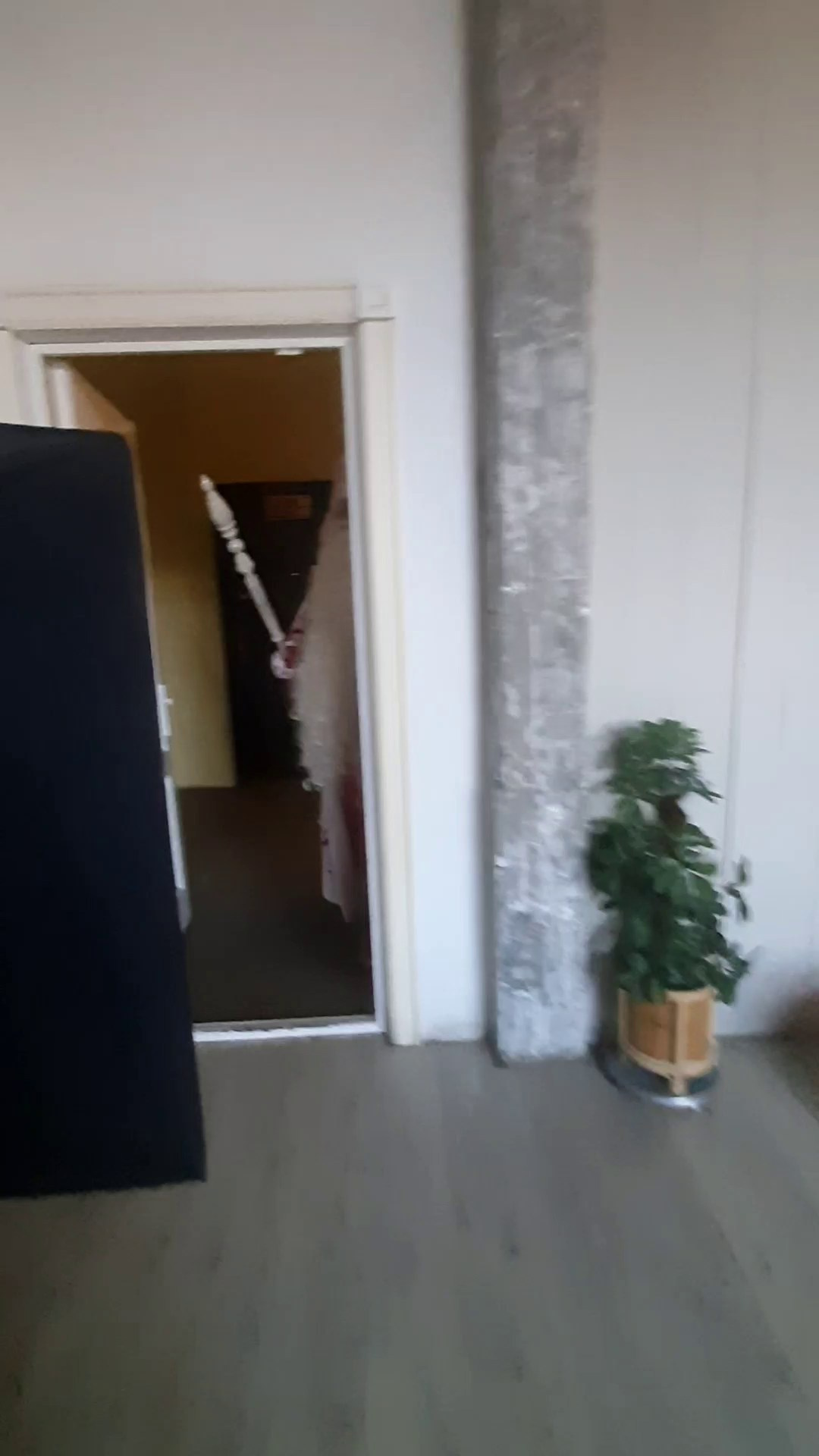 ФОТОДЕНЬ С ДЕДОМ МОРОЗОМ. Семейный фотограф в Санкт-Петербурге Алиса Мохова