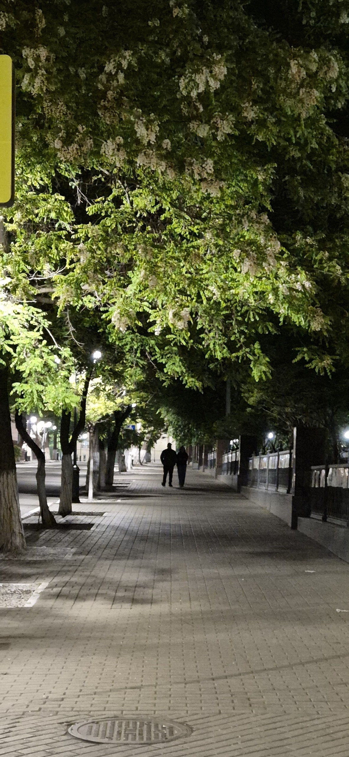 Астрахань и Элиста. Экскурсионная поездка | 30.04-04.05.2025. Галерея Фантим