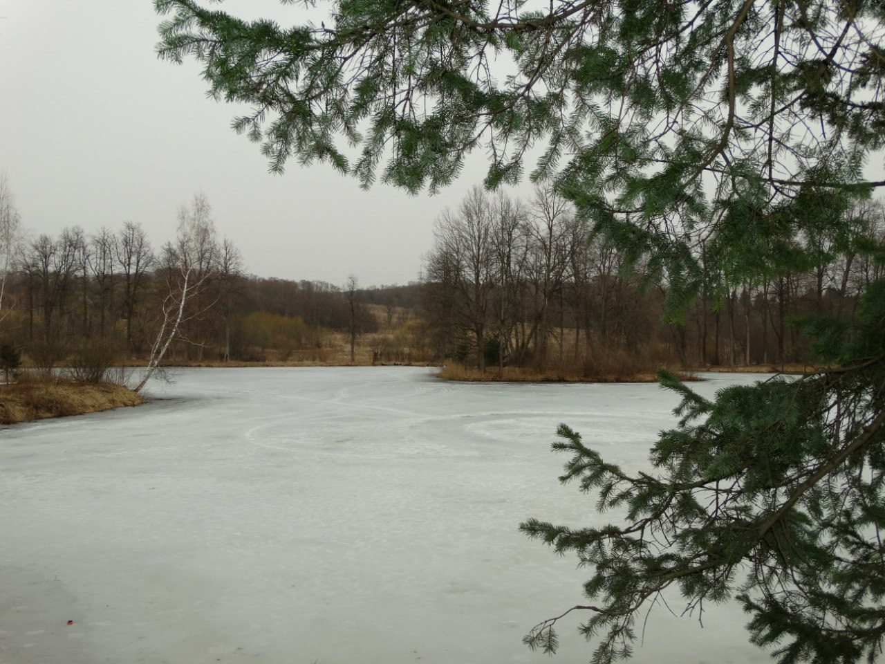 Середниково — Piligrim Porto — Братцево — Сходненская чаша | 09.04.2016. Галерея Фантим