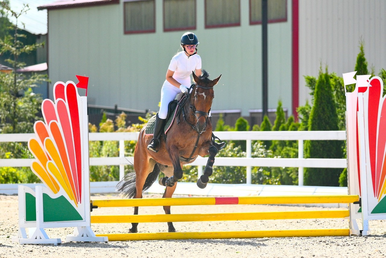 Отзывы. ТУРНИРНАЯ КОННАЯ ФОТОГРАФИЯ, Руднева Ольга и Евгений Адеев