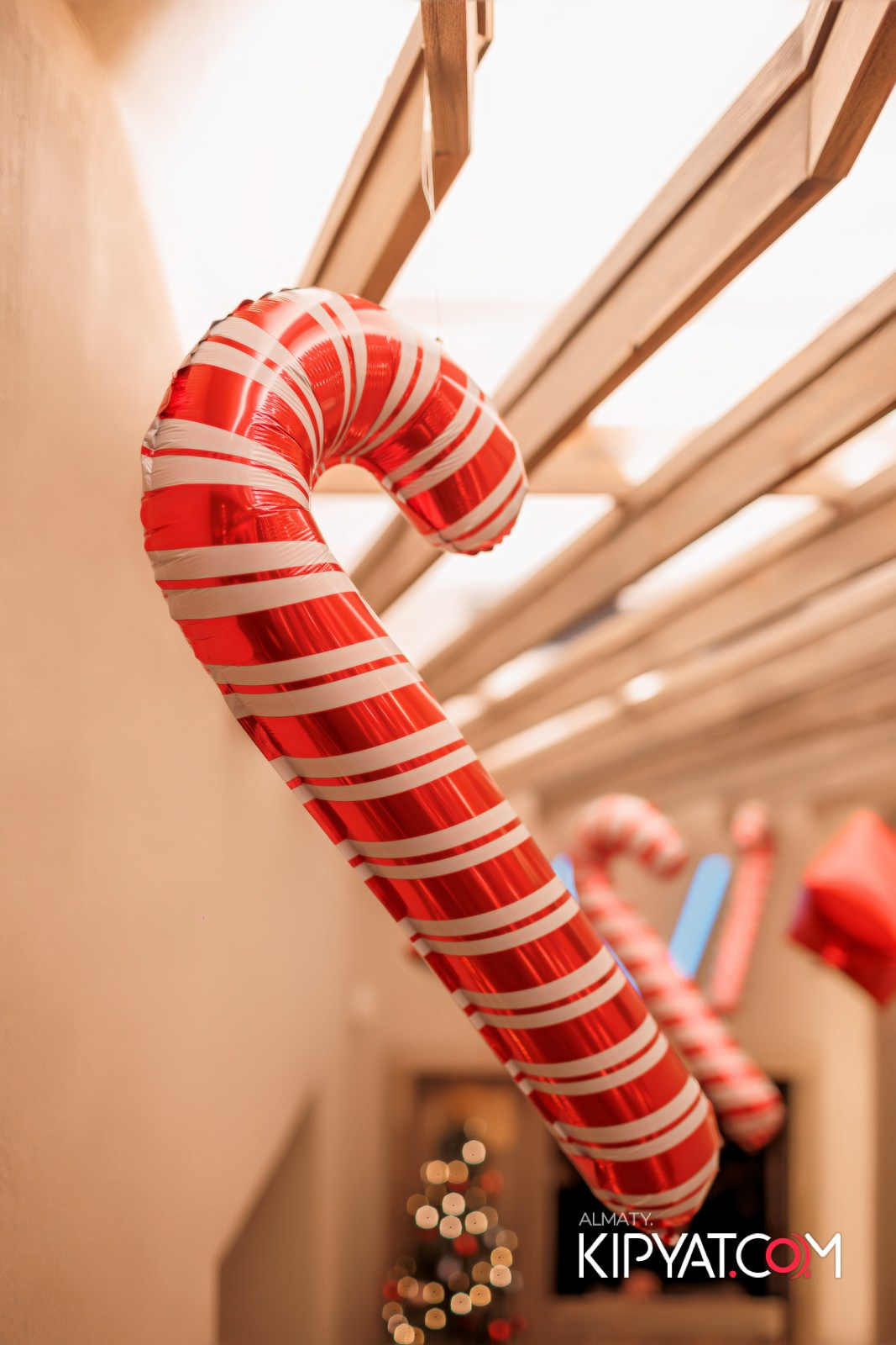 AVENUE. КИПЯТКОМ АЛМАТЫ!