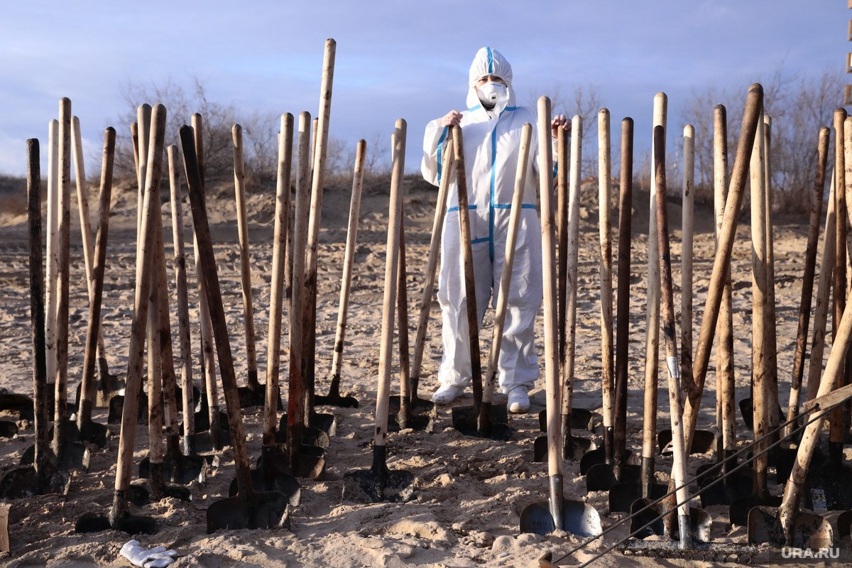 Разлив нефти в Чёрном море — 2025. Роман Наумов профессиональный фотограф