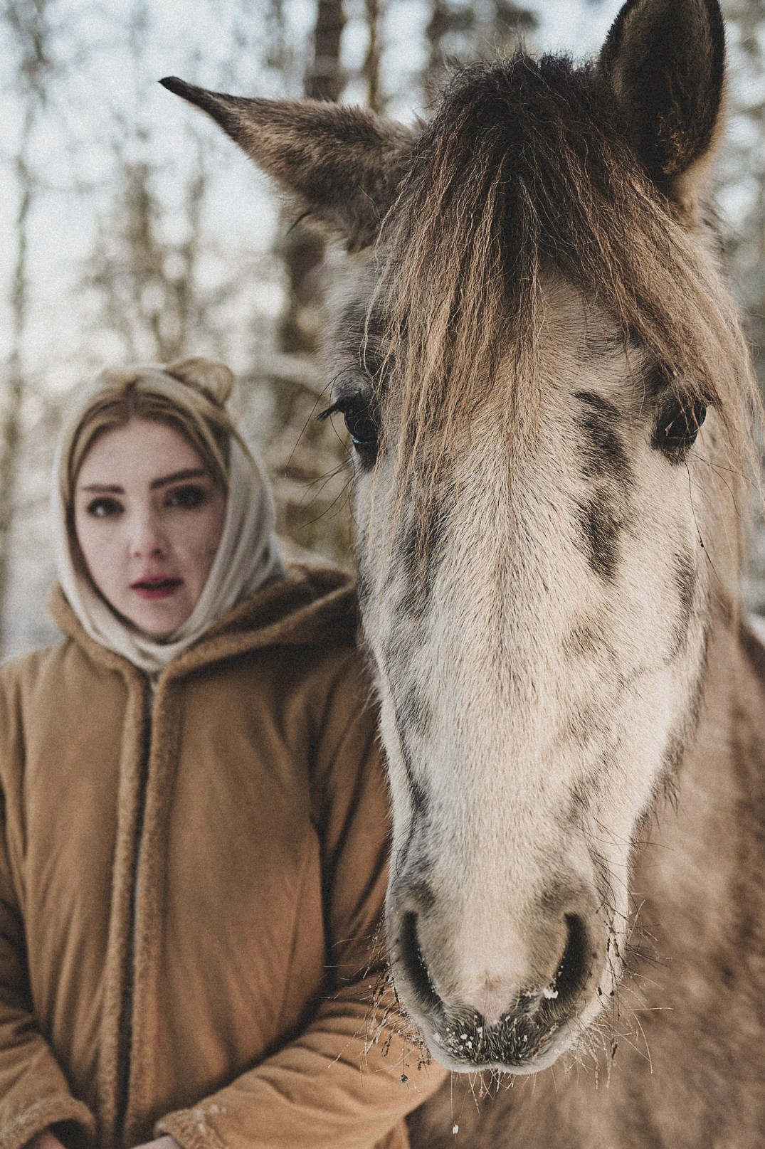 Конюшня. Репортажный фотограф в Санкт-Петербурге Диана Ларченкова