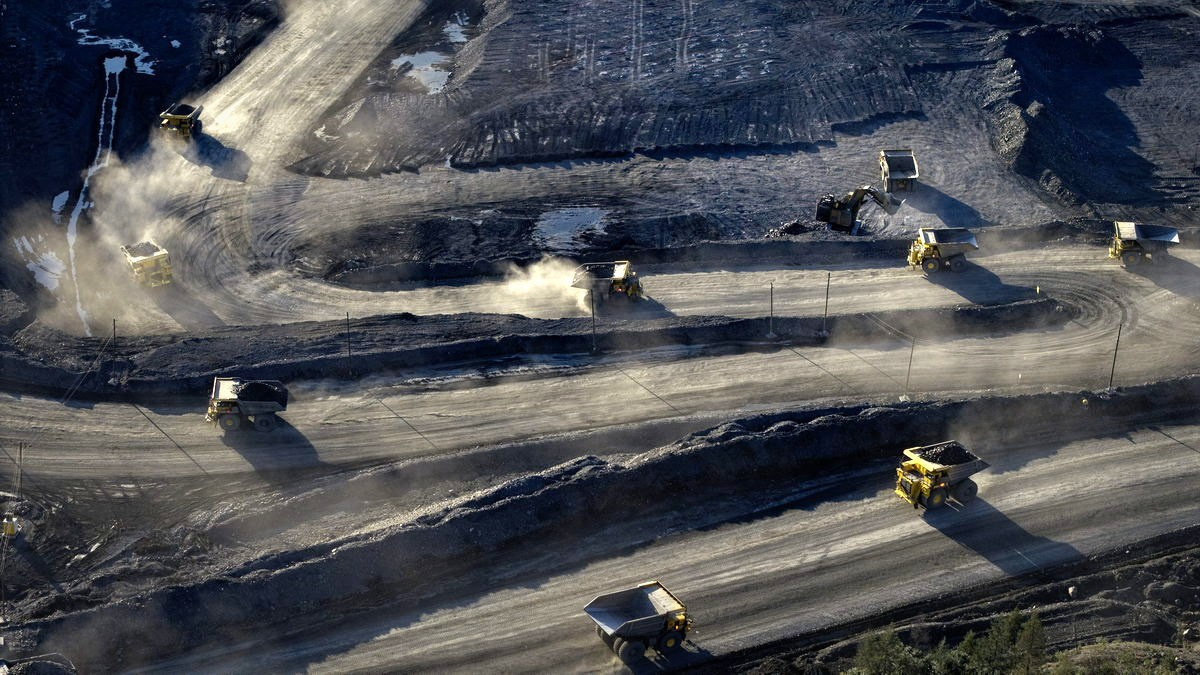 Poluys. Павел Маркелов, фотограф