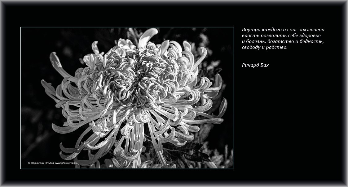 Совет дня — ориентир. Татьяна Корчагина. Фотограф, художник. Обучение фотографии