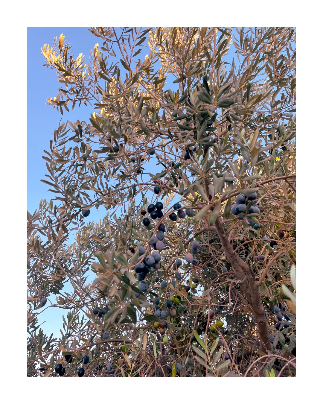 Bodrum 2024. Film and another stuff