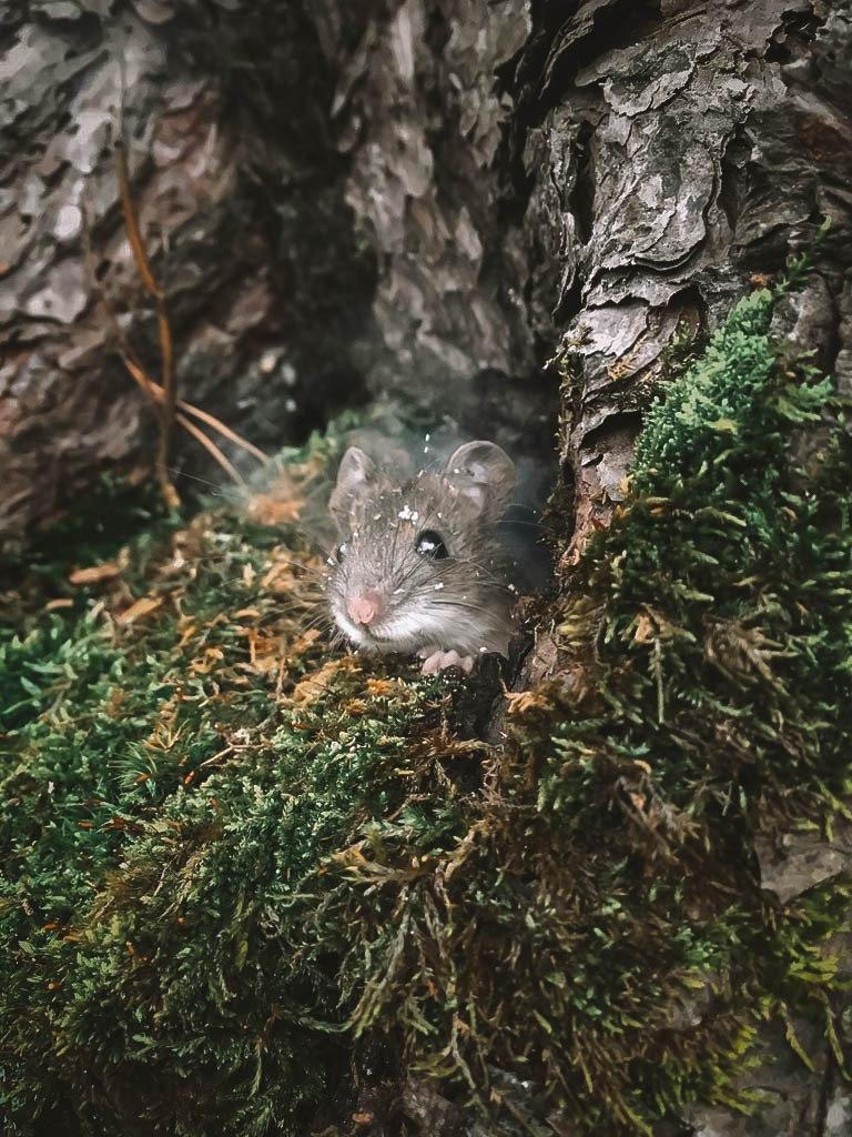 Без людей. Фотограф Крутой Максим