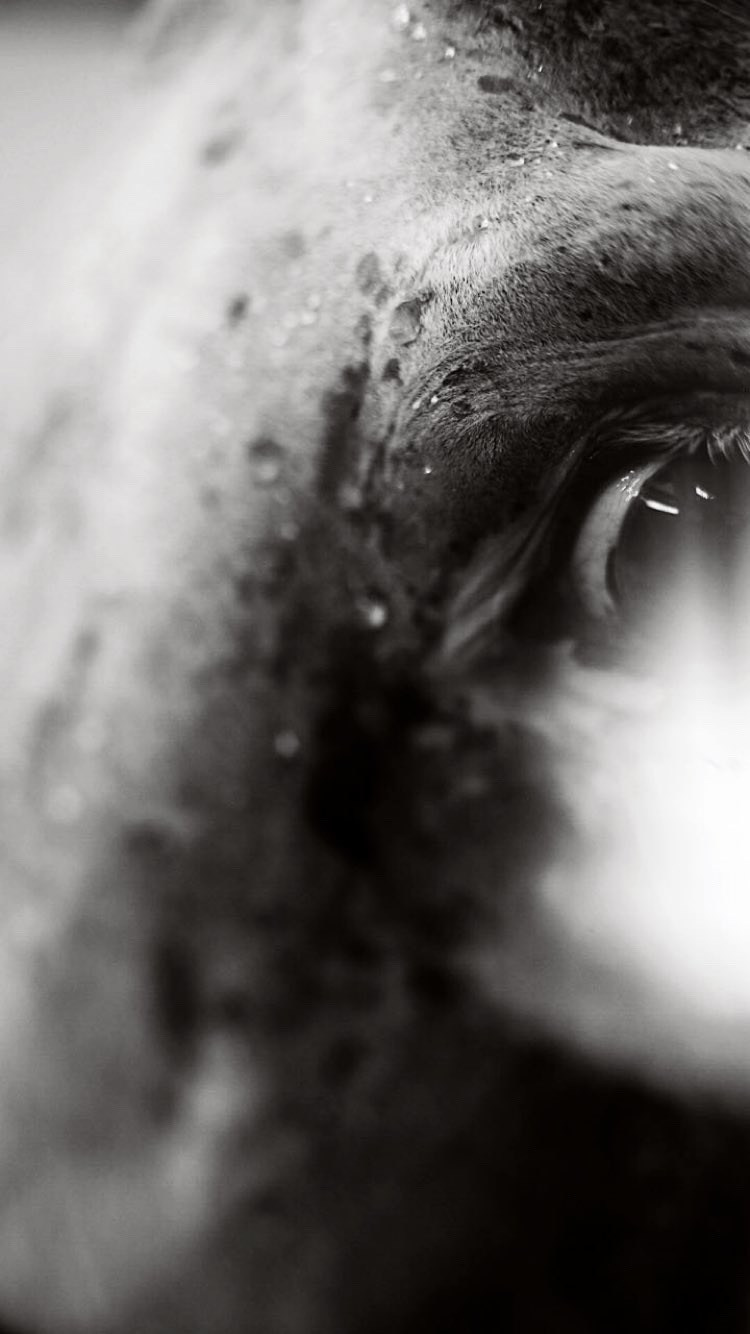 Кадры живут вне времени. Фотограф Юлия Курочкина