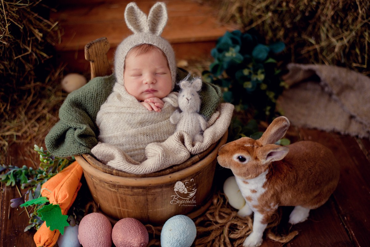 Новорожденные. Фотограф новорожденных во Владимире Анастасия Воробьева