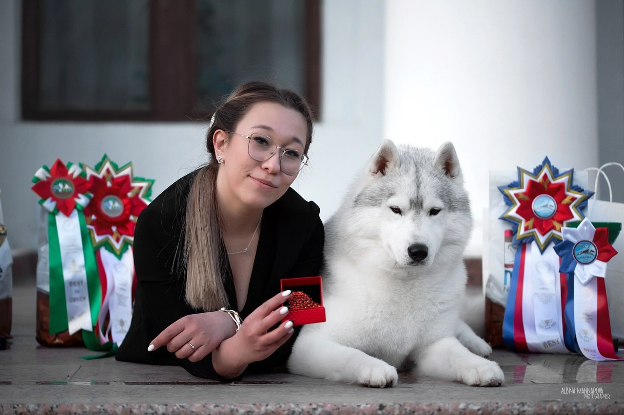 Собаки. FASHION ФОТОГРАФ КАЗАНЬ