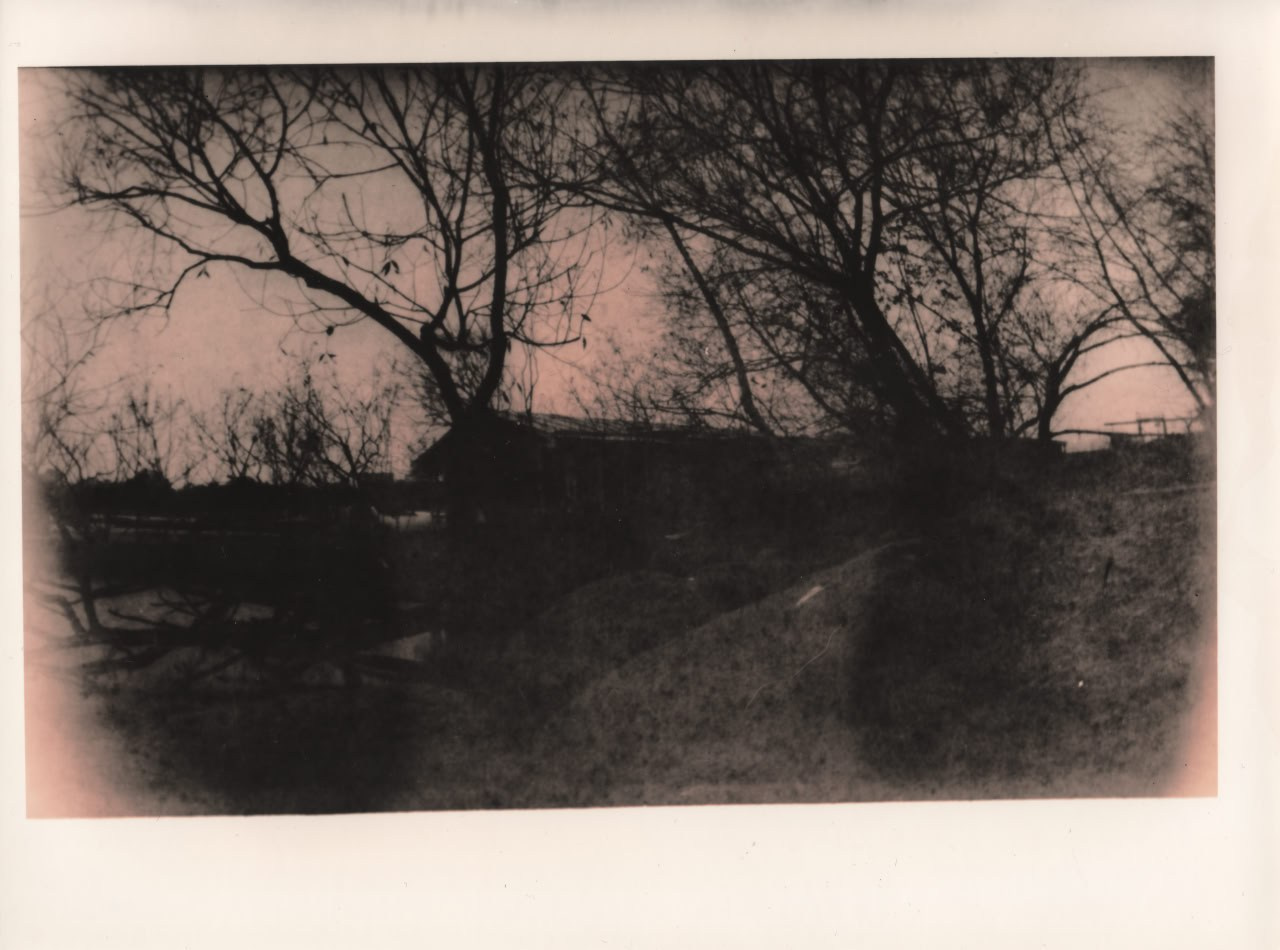 Фото-альтернатива. Данил Андреев, мультидисциплинарный художник, Санкт-Петербург