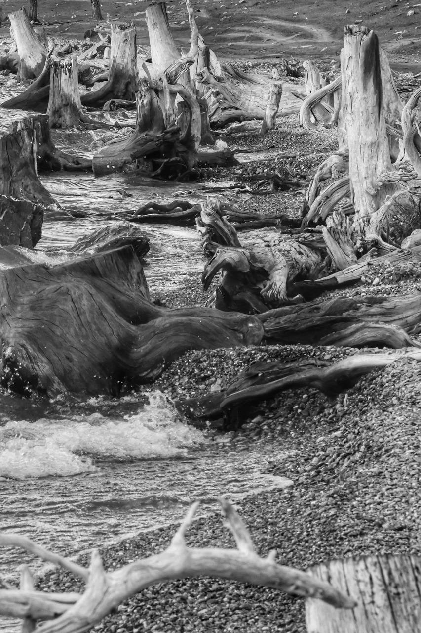 2024. Тащилин Сергей. Фотографии. Жизнь. Хобби