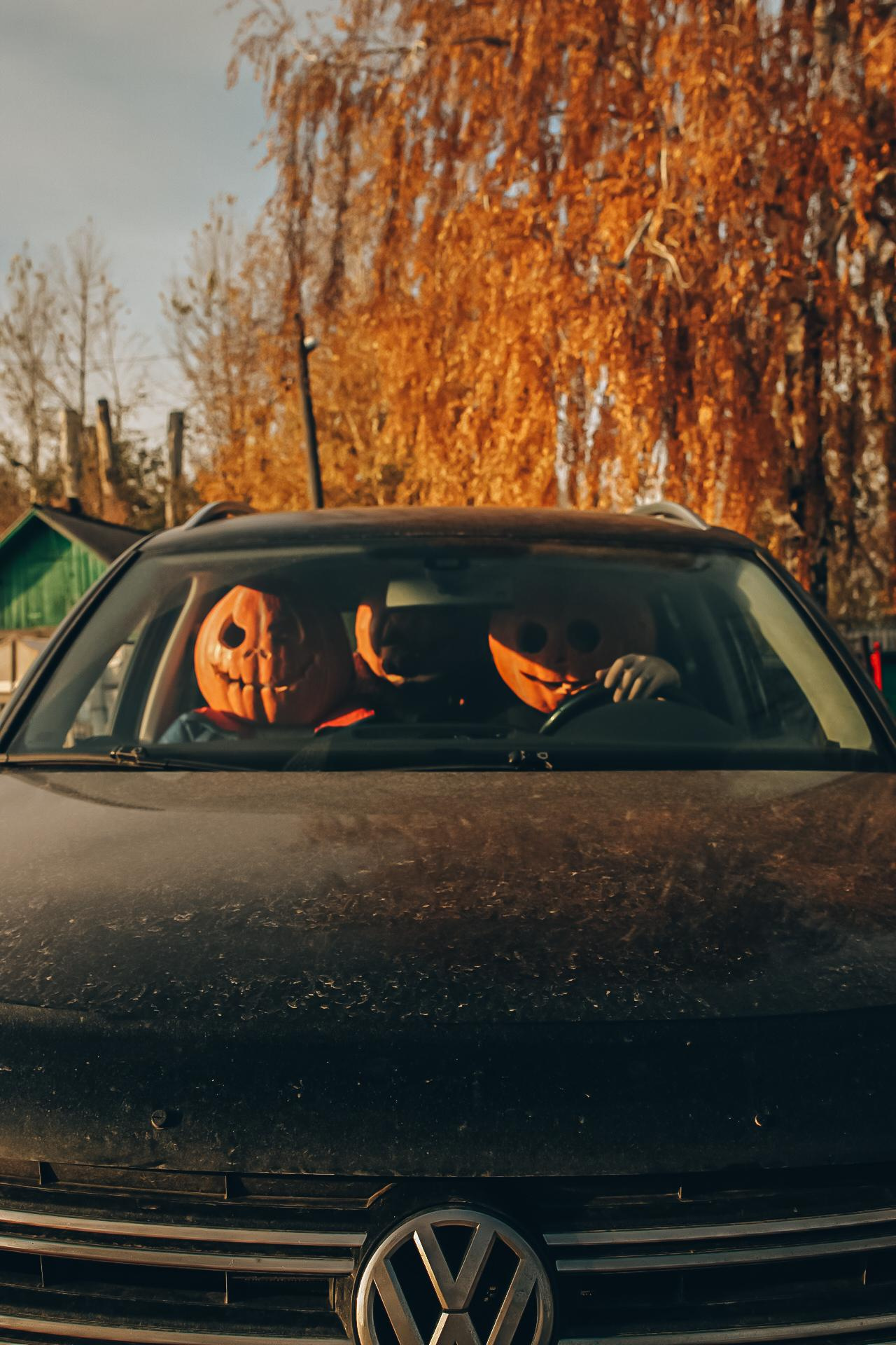 На природе. Фотограф Новосибирск. Фотокарточки на память. Евгения Кудрявцева