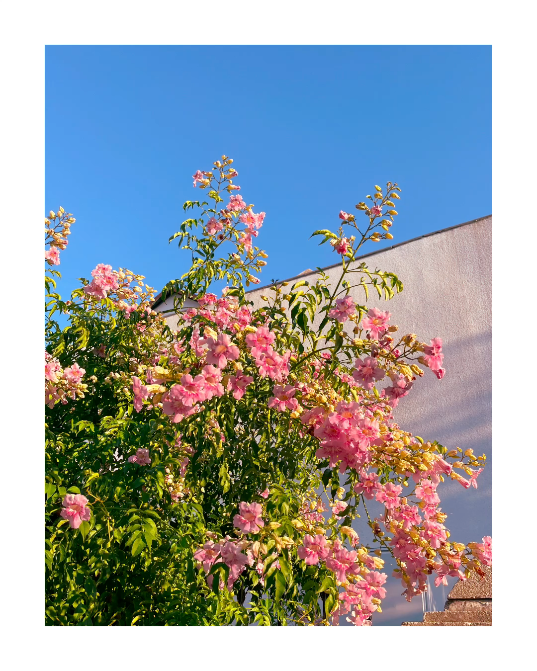 Bodrum 2024. Film and another stuff