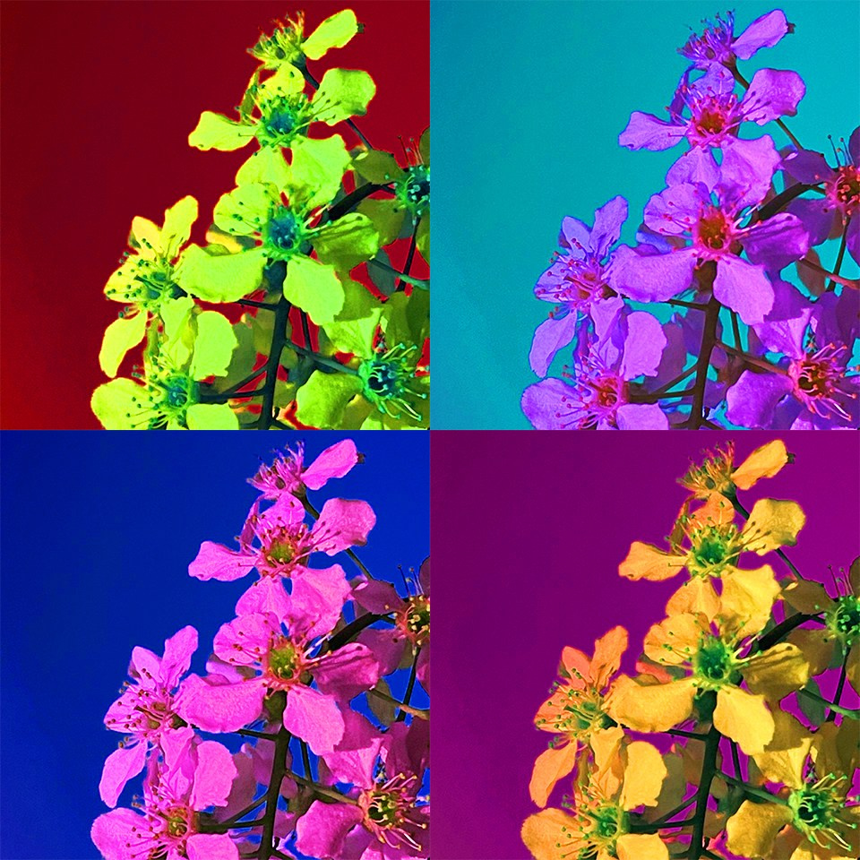 Arts. Фотограф в Москве Десятова Ксения