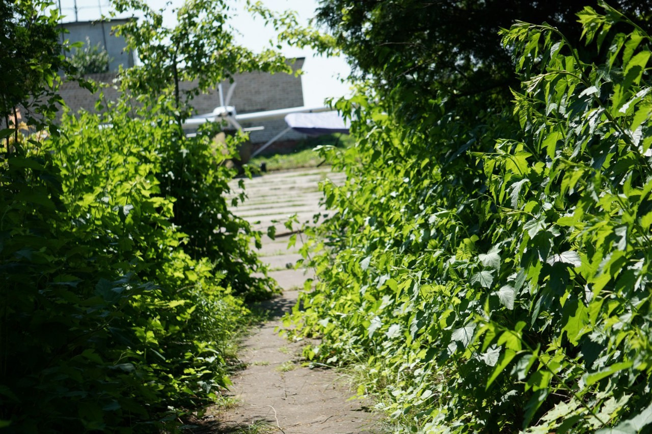 Планеры и высший пилотаж | 2016. Галерея Фантим