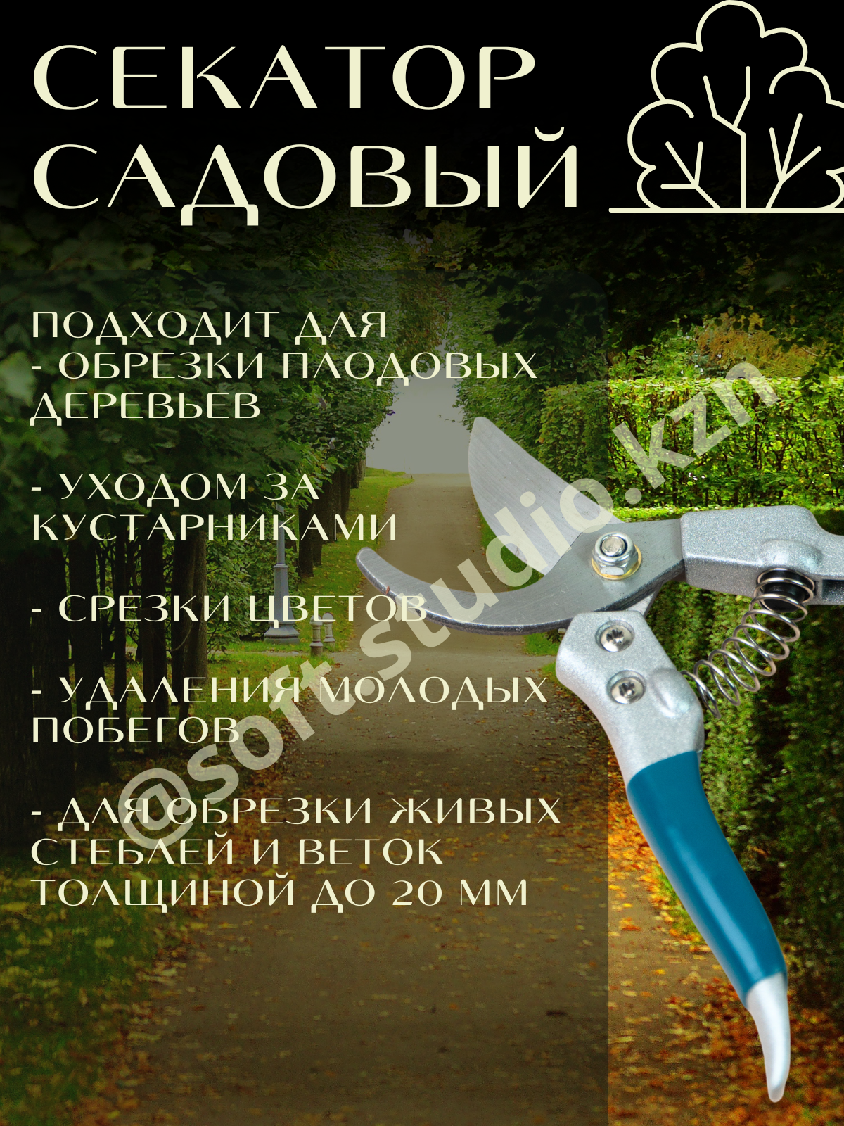 Инфографика. Фото для Маркетплейсов