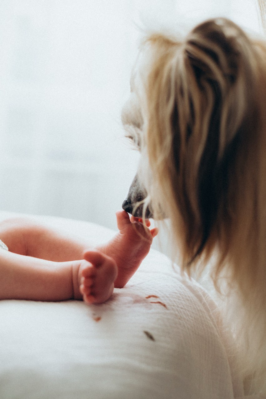 A friendly family. Veles is one and a half years old, and daughter Amelia is one month old.