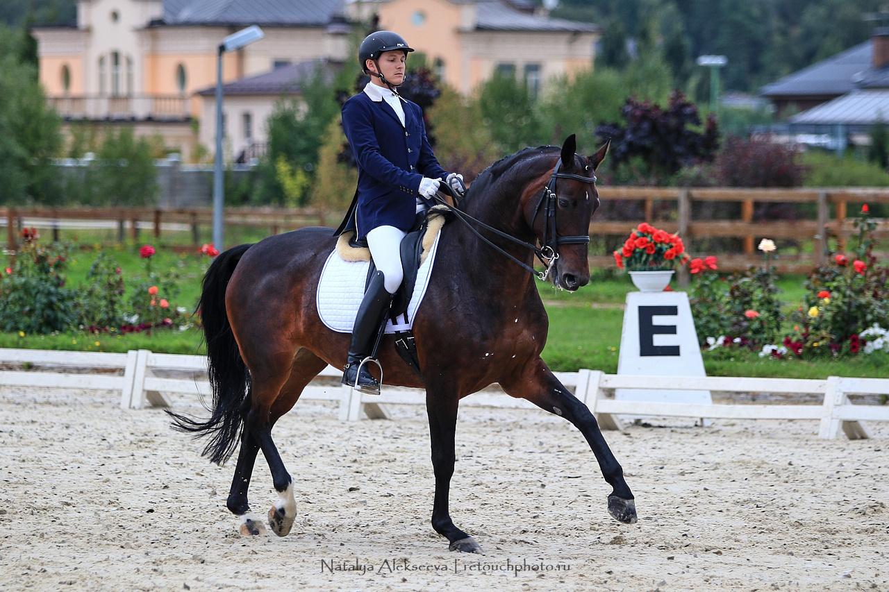 Всероссийский турнир по выездке, КСК Новый Век | 08'2019. Репортажный фотограф и ретушер в Москве Наталья Алексеева