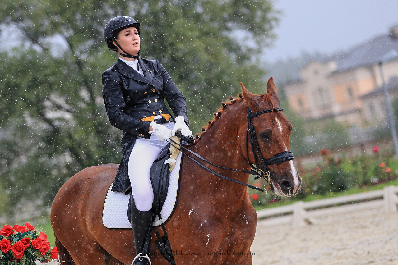 Всероссийский турнир по выездке, КСК Новый Век | 08'2019. Репортажный фотограф и ретушер в Москве Наталья Алексеева